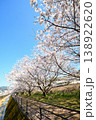 桜、サクラ、さくら 138922620