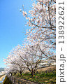 桜、サクラ、さくら 138922621