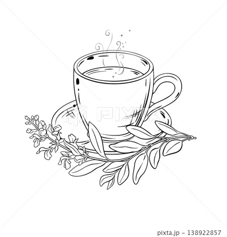 Sage Tea in Teapot Outline Illustration. 138922857