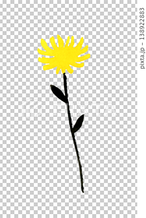 黄色×黒色のシンプルでオシャレな花　手描き水彩イラスト素材 138922883