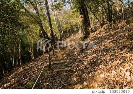 小谷城山の登山道 小谷城山の登山道 138923059