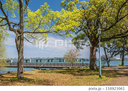 膳所城跡公園　滋賀県大津市 138923061