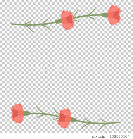 Carnation Line Carnation Line 138923164