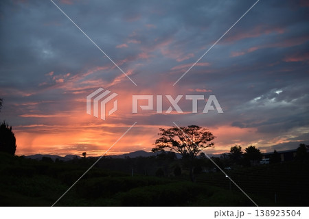 Dramatic Sunset Sky over a Tea Plantation with Silhouetted Trees and Mountains Dramatic Sunset Sky over a Tea Plantation with Silhouetted Trees and Mountains 138923504