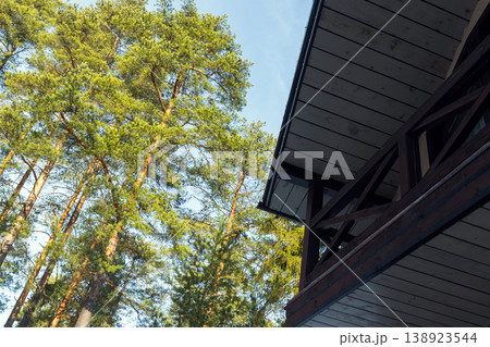 Looking up at tall pine trees beside a rustic wooden house balcony 138923544