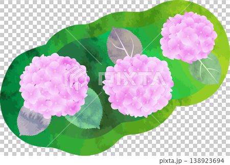 水彩風格的繡球花插圖 - 粉紅色 水彩風格的繡球花插圖 - 粉紅色 138923694