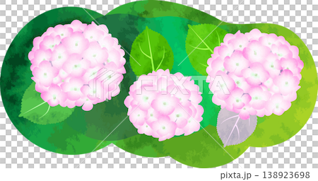 水彩風格的繡球花插圖 - 粉紅色 水彩風格的繡球花插圖 - 粉紅色 138923698