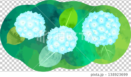 水彩風格的繡球花插圖 - 藍色 水彩風格的繡球花插圖 - 藍色 138923699