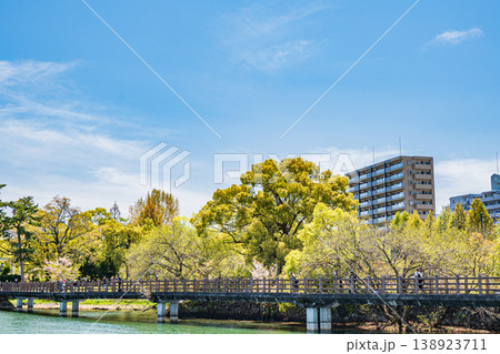膳所城跡公園 新緑の大木 滋賀県大津市 膳所城跡公園 新緑の大木 滋賀県大津市 138923711