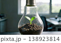 plant growing in glass bottle 138923814