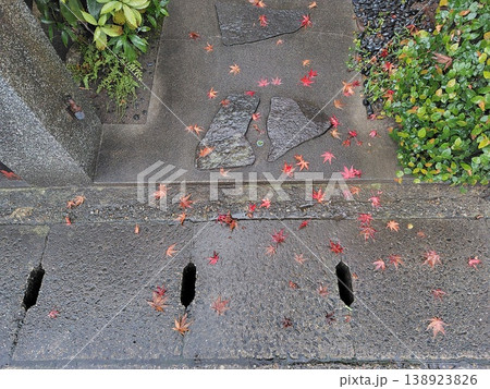 側溝の蓋に落ちた紅葉 側溝の蓋に落ちた紅葉 138923826