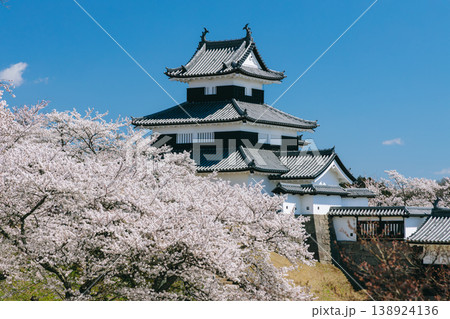 白河小峰城と桜 138924136