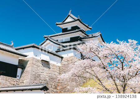 白河小峰城と桜 138924138