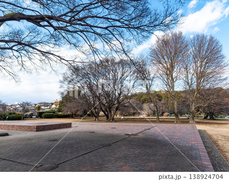 きれいに整備された武蔵国分寺跡の景色 きれいに整備された武蔵国分寺跡の景色 138924704