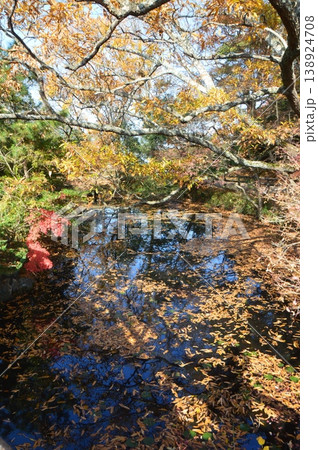 血の池(瑠璃宝の池)（屋島寺／香川県高松市屋島東町字屋島峯） 138924708