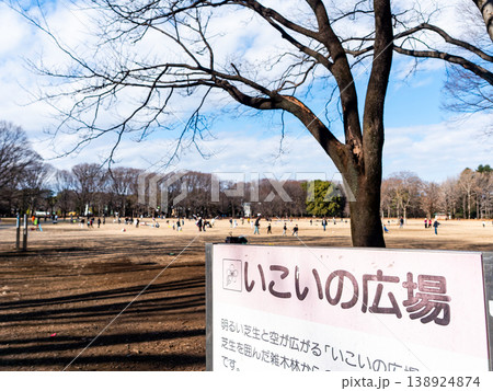新春の公園で遊ぶ子供たち 新春の公園で遊ぶ子供たち 138924874