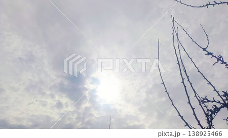 Bright sun shining through a dense layer of white and grey clouds. Silhouette of bare tree branches against a high-key sky background. Bright sun shining through a dense layer of white and grey clouds. Silhouette of bare tree branches against a high-key sky background. 138925466