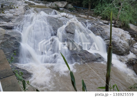 Waterfall with a green plant growing out of the water Waterfall with a green plant growing out of the water 138925559
