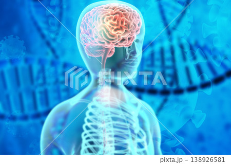 Human brain anatomy on dna background. Genetics study concept Human brain anatomy on dna background. Genetics study concept 138926581