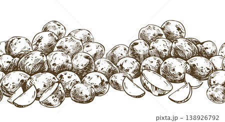 Hand drawn potato vegetable outline illustration. Monochrome ink sketch of raw potatoes for culinary design, harvest market, fresh farm food package and kitchen menu graphic seamless border. 138926792