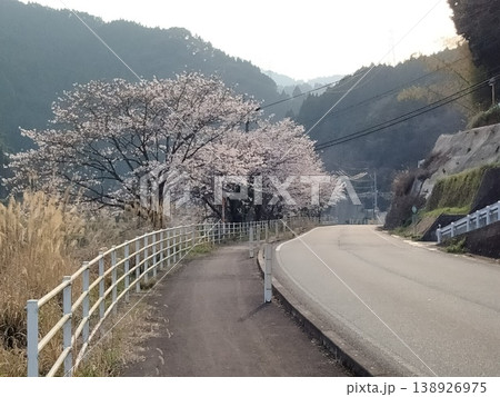 桜のトンネルを抜ける道路 138926975