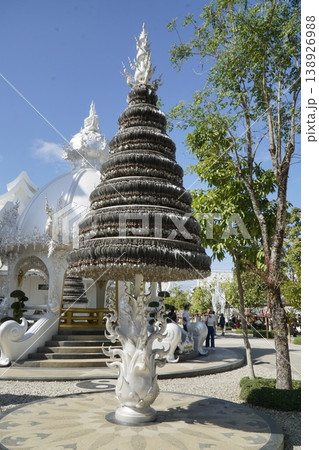Tall white tree with a lot of leaves and a lot of branches 138926988