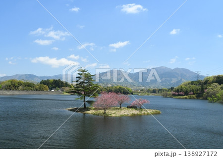 小島に咲く桜 138927172