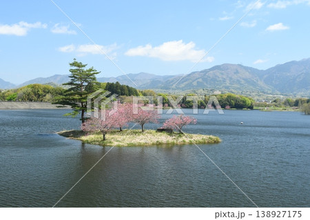 小島に咲く桜 小島に咲く桜 138927175