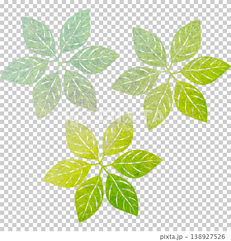 綺麗な水彩模様の葉っぱのオブジェのアイコンのイメージのイラスト 綺麗な水彩模様の葉っぱのオブジェのアイコンのイメージのイラスト 138927526