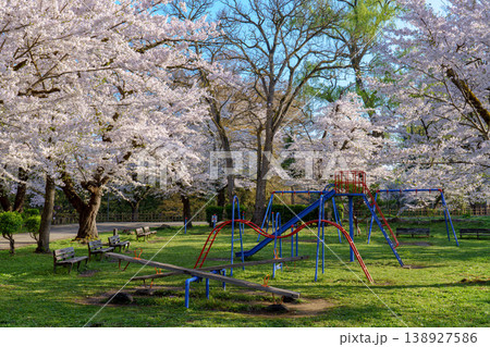 鶴ヶ城の桜 満開に咲く会津若松の春の風景 鶴ヶ城の桜 満開に咲く会津若松の春の風景 138927586