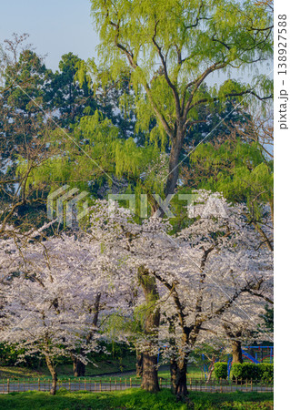 鶴ヶ城の桜 満開に咲く会津若松の春の風景 138927588