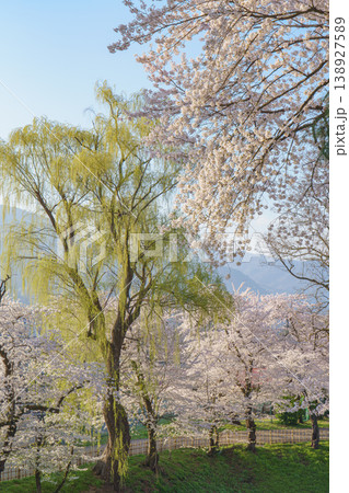 鶴ヶ城の桜 満開に咲く会津若松の春の風景 138927589