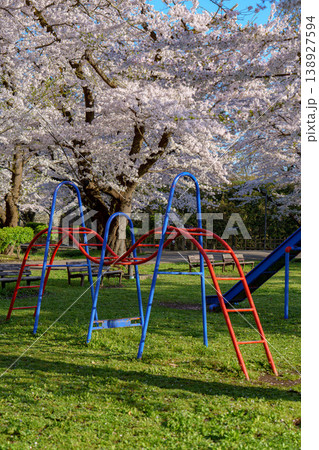 鶴ヶ城の桜 満開に咲く会津若松の春の風景 鶴ヶ城の桜 満開に咲く会津若松の春の風景 138927594