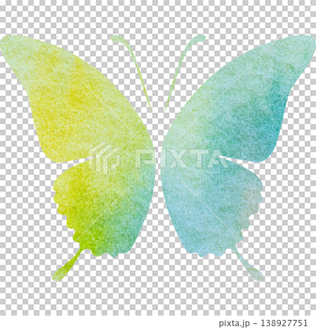 Beautiful watercolor butterfly icon image illustration 138927751