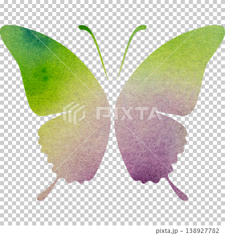 Beautiful watercolor butterfly icon image illustration Beautiful watercolor butterfly icon image illustration 138927782