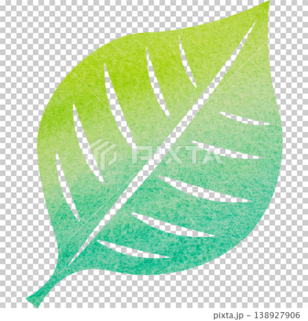 Beautiful watercolor leaf icon image illustration Beautiful watercolor leaf icon image illustration 138927906