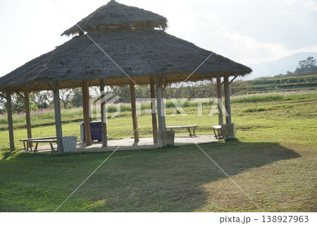 Small hut with a thatched roof sits in a grassy field Small hut with a thatched roof sits in a grassy field 138927963