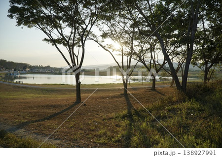 Park with a lake and trees 138927991