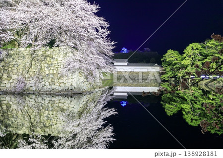 彦根市、彦根城中堀の満開の桜と天守閣の夜景 138928181