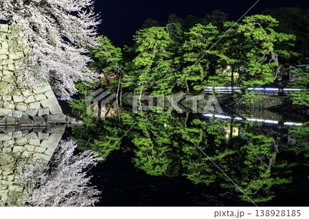 彦根市、彦根城中堀の満開の桜の夜景 138928185
