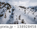 Snowy Landscape with Ski Tracks and Sparse Vegetation 138928458