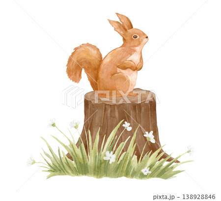 Watercolour forest squirrel on stump. Clipart woodland animal for cards and nursery posters. Hand drawn isolated illustration 138928846