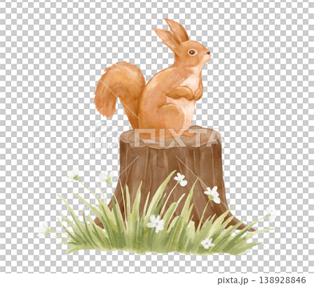 Watercolour forest squirrel on stump. Clipart woodland animal for cards and nursery posters. Hand drawn isolated illustration 138928846