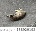 Watch while lying down 138929192