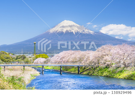 春の龍巌淵の自然風景　桜と富士山と潤井川【静岡県・富士市】 138929496