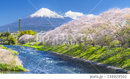静岡の観光名所「龍巌淵」の絶景 潤井川から見る桜並木と富士山【静岡県・富士市】 静岡の観光名所「龍巌淵」の絶景 潤井川から見る桜並木と富士山【静岡県・富士市】 138929502