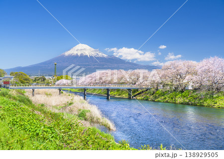 静岡の観光名所「龍巌淵」の絶景 潤井川から見る桜並木と富士山【静岡県・富士市】 静岡の観光名所「龍巌淵」の絶景 潤井川から見る桜並木と富士山【静岡県・富士市】 138929505