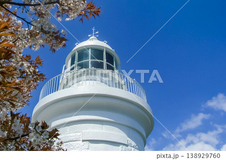 姫島灯台と桜 138929760