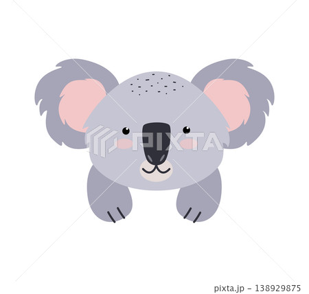 Cute koala face with paws. Vector illustration of cartoon animal of Australia. Flat style. Isolate on a white background. Cute koala face with paws. Vector illustration of cartoon animal of Australia. Flat style. Isolate on a white background. 138929875