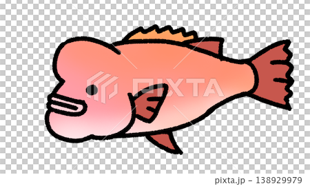 Relaxed humphead wrasse Relaxed humphead wrasse 138929979